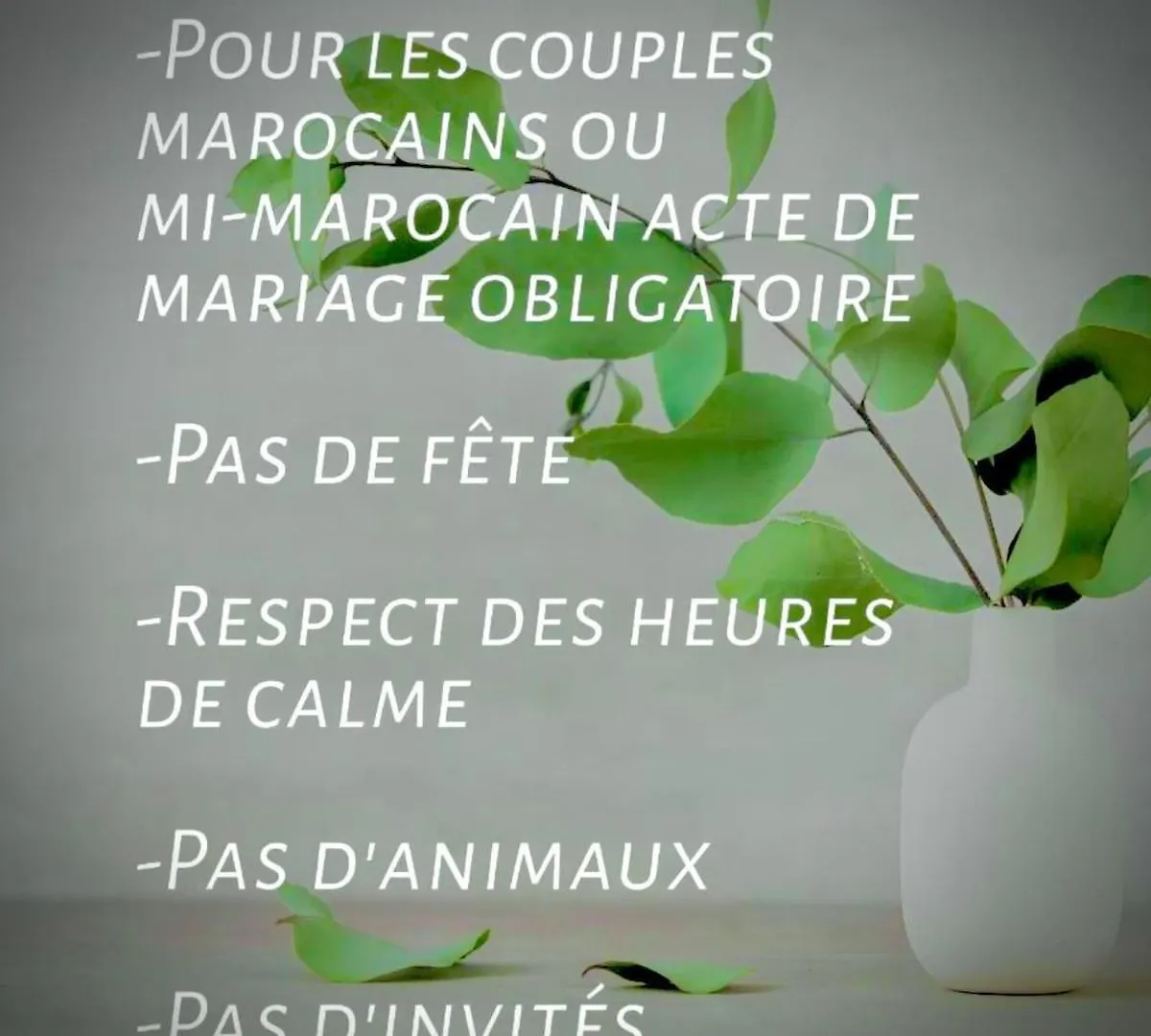 Ismail Appart Esauira Marruecos